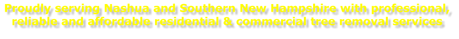 Southern NH Tree and Landscape gallery 6