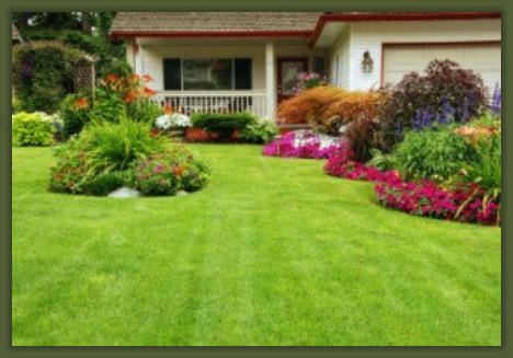 Tree Service Nashua | Landscaping