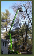 Tree Service Nashua | Nift Lift Extended